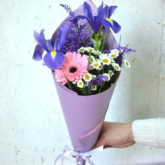 Красотка от 3 002 руб.